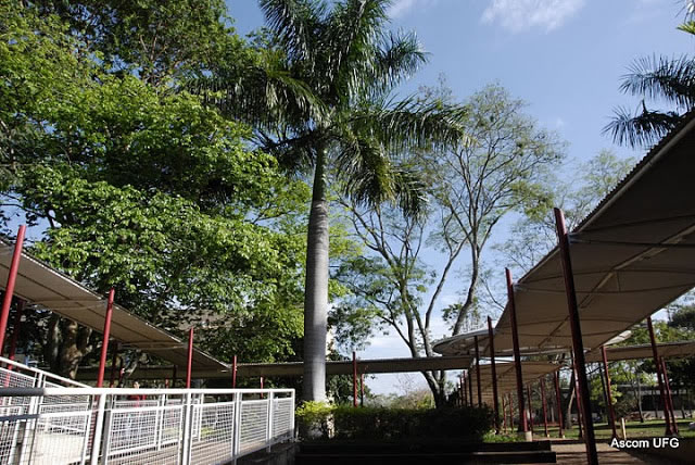  PASSARELA DE LIGACAO ENTRE OS PREDIOS NA UFG CAMPUS II 